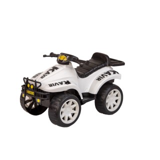 موتور کویر و ساحلی 4 چرخ  | شهر اسباب بازی